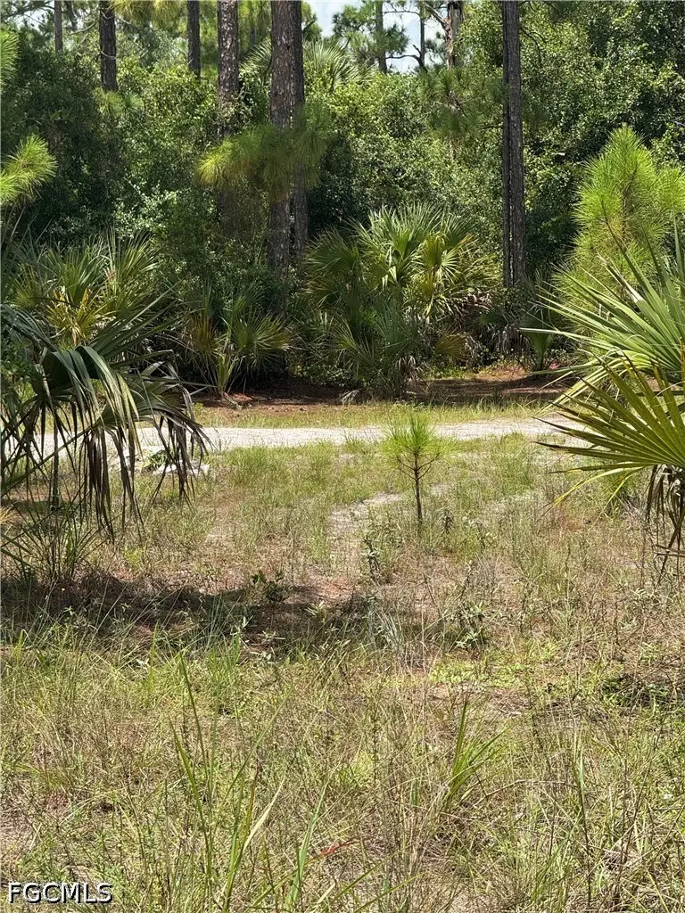 1011 Truman Avenue, Lehigh Acres, FL 33972 - #1