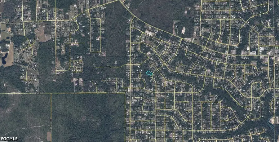 2302 Cosmos Avenue, Middleburg, FL 32068 - #3