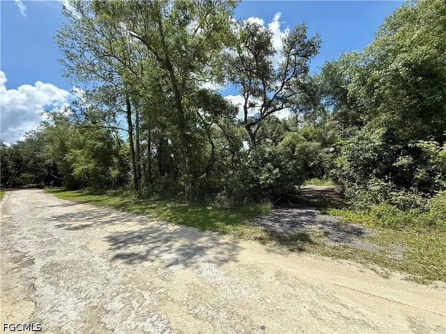 Lot 10 Long Circle, Webster, FL 33597 - #3