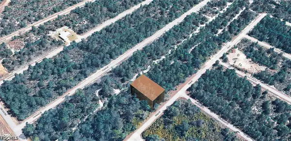 955 Ridge Street, Lake Placid, FL 33852