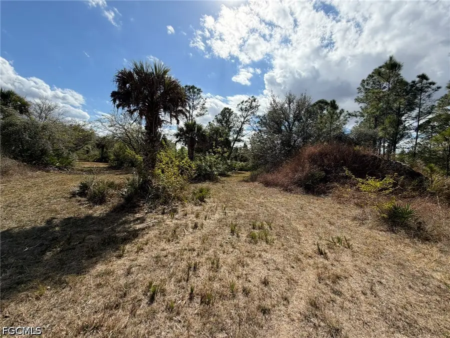 49337 Bermont Road, Punta Gorda, FL 33982 - #3