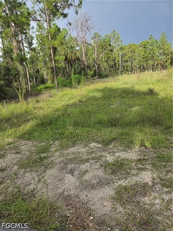 2310 Truman Avenue, Alva, FL 33920