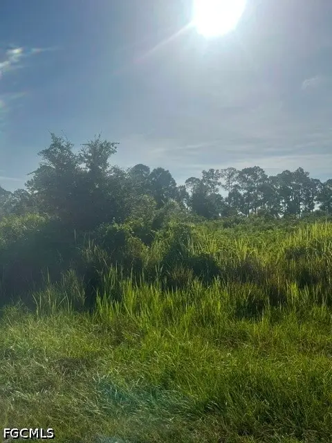 819 Anaconda Avenue S, Lehigh Acres, FL 33974