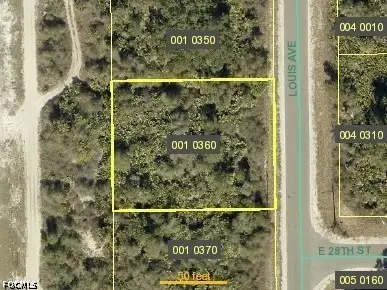 2801 Louis Avenue, Alva, FL 33920 - #1