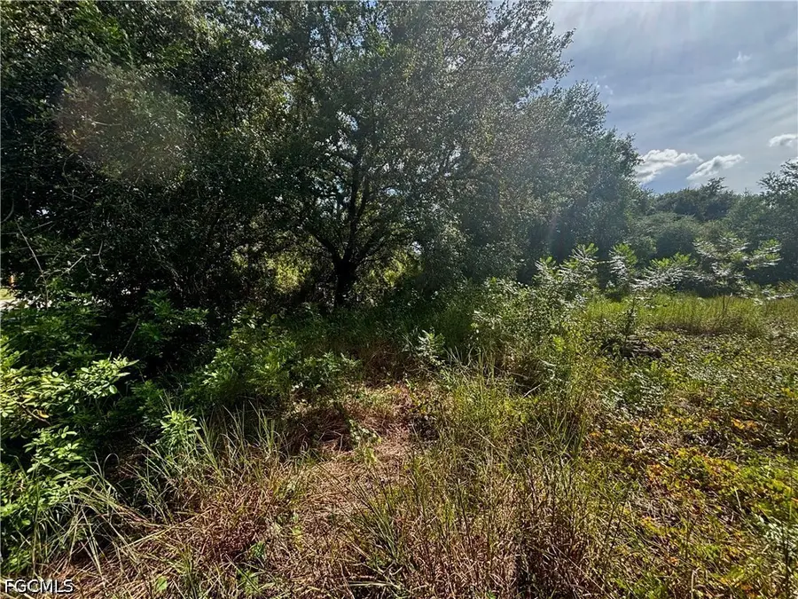 809 5th Avenue E, Lehigh Acres, FL 33972 - #3