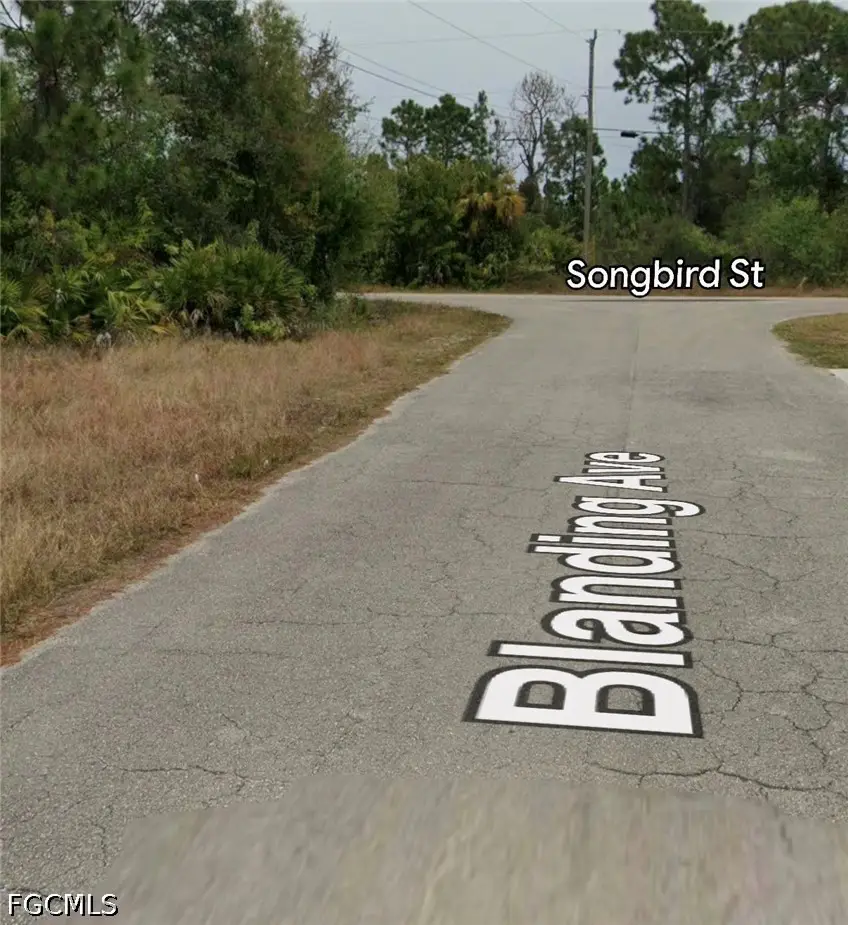 1253 Blanding Avenue, Fort Myers, FL 33913 - #3