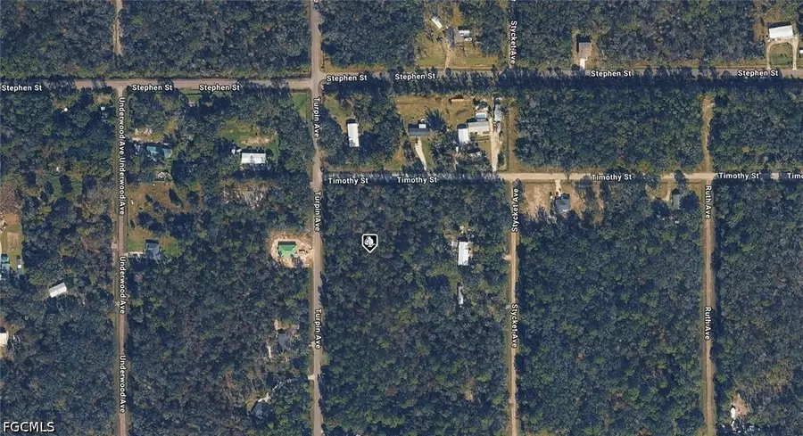 10230 Turpin Avenue, Hastings, FL 32145 - #2