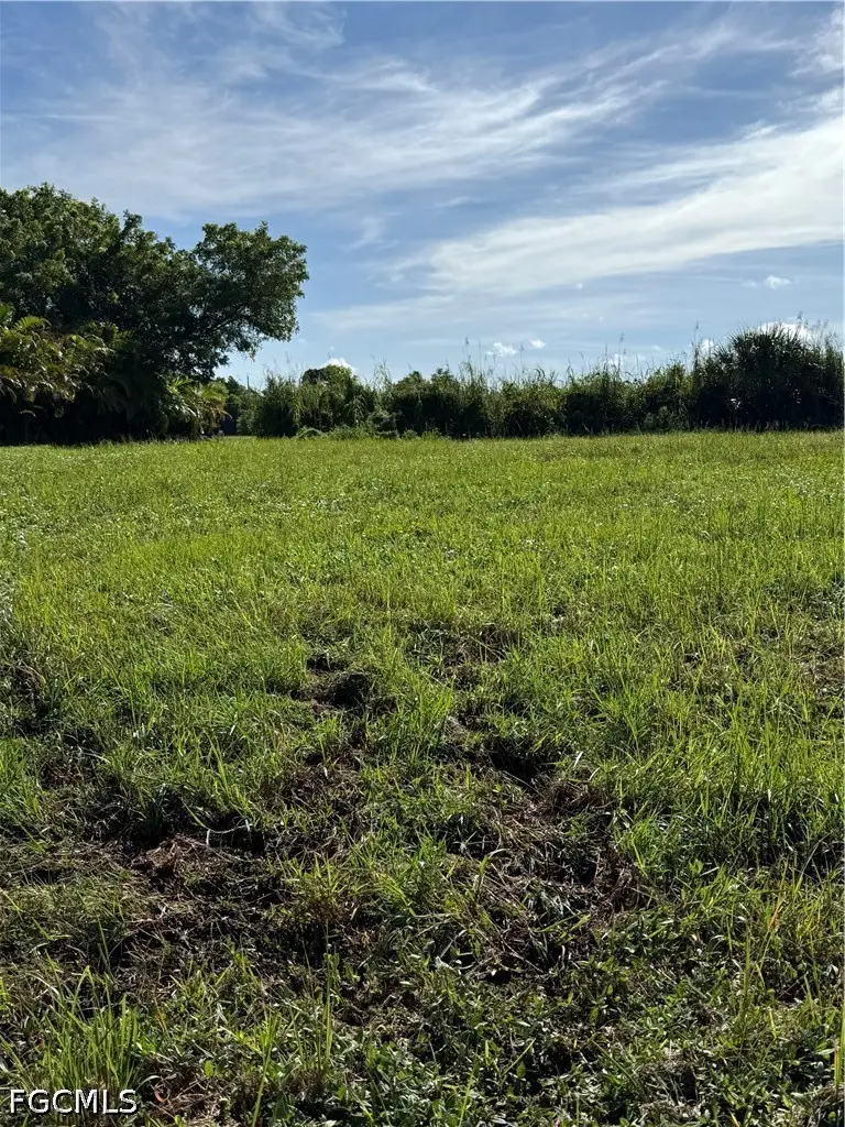 4401 Old Burnt Store Road N, Cape Coral, FL 33993 - #2