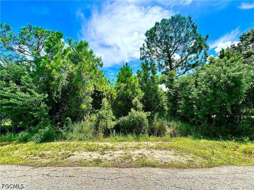 1006 Robert Avenue, Lehigh Acres, FL 33936 - #1