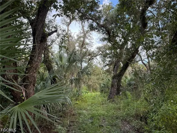 43026 L28 Canal Road, Immokalee, FL 34142
