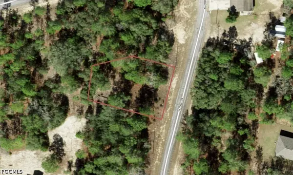 11164 N Edna Terrace, Citrus Springs, FL 34433