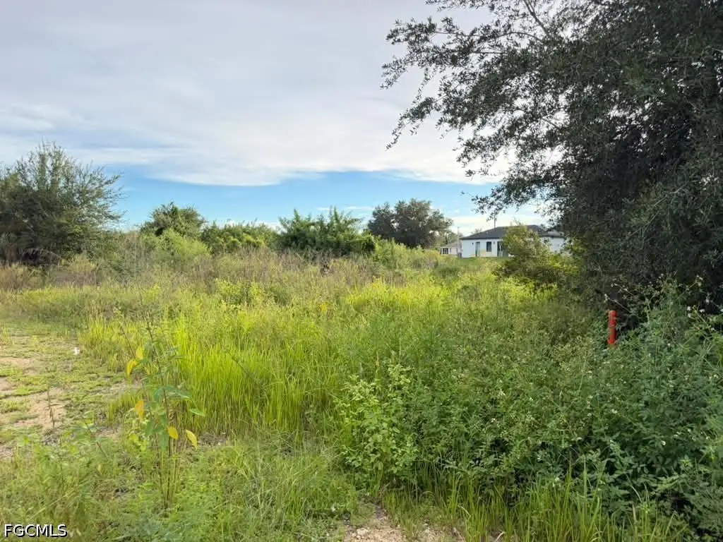 4700 Diane Avenue S, Lehigh Acres, FL 33976 - #1