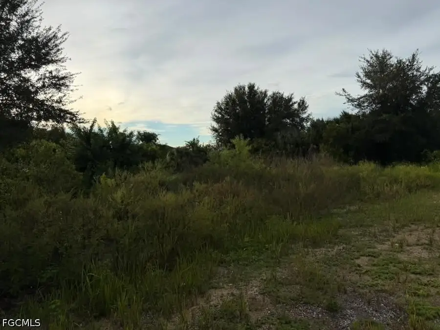 4700 Diane Avenue S, Lehigh Acres, FL 33976 - #2