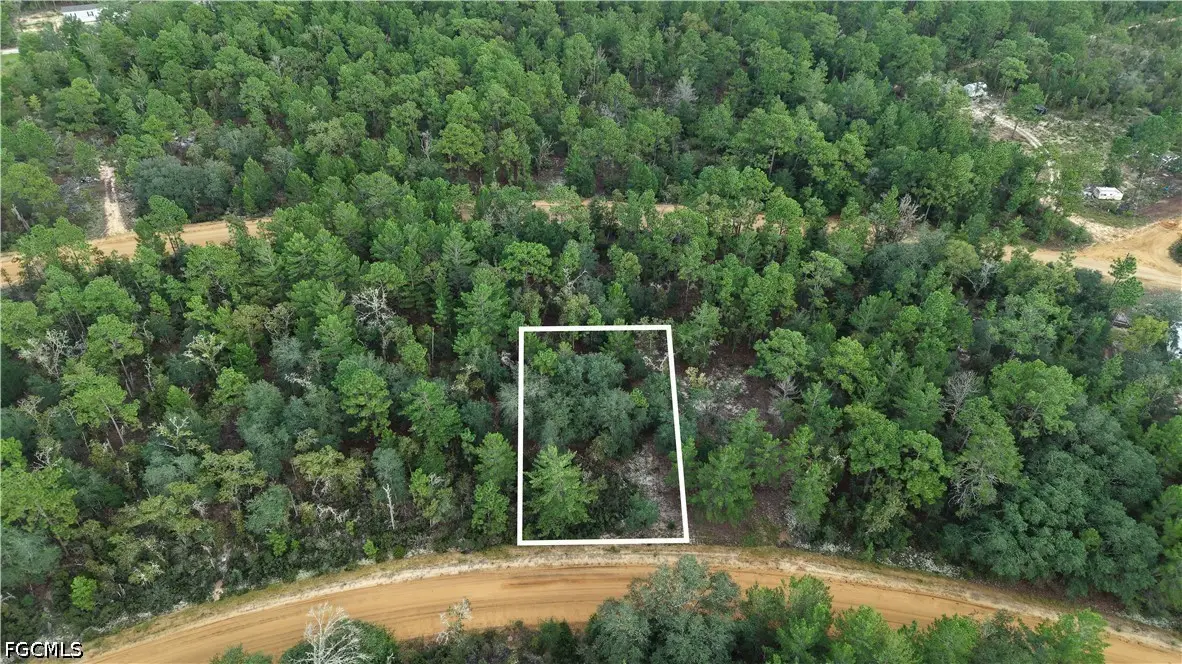Crocus Ln, Interlachen, FL 32148 - #1