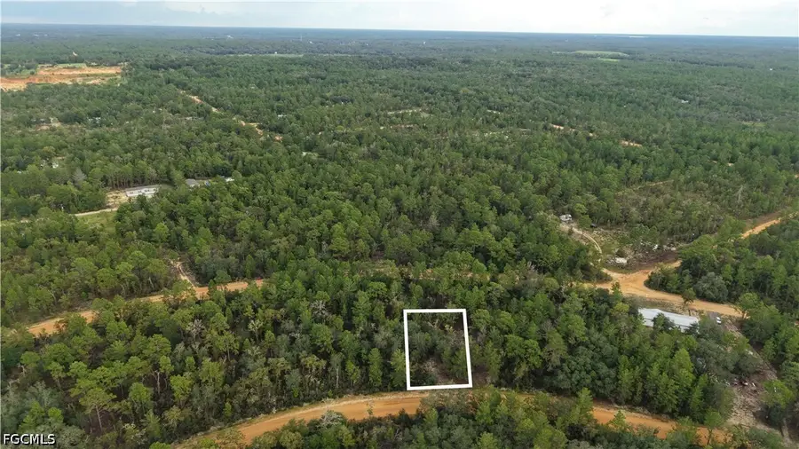 Crocus Ln, Interlachen, FL 32148 - #2