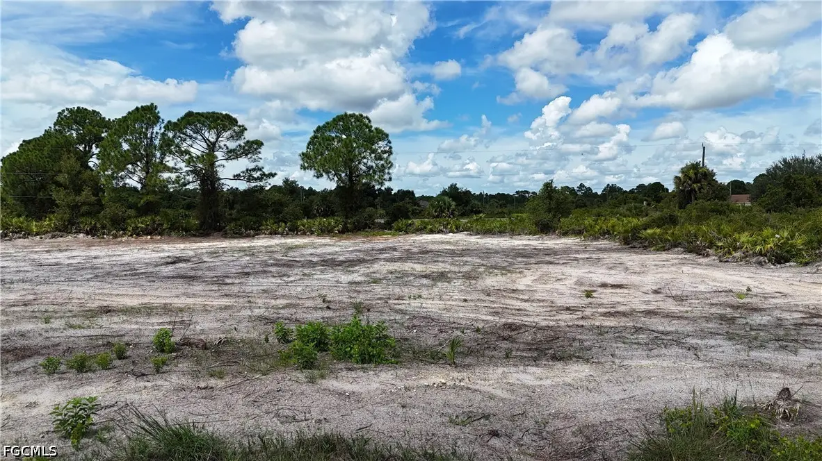 1217 Poinsettia Avenue, Lehigh Acres, FL 33972 - #1