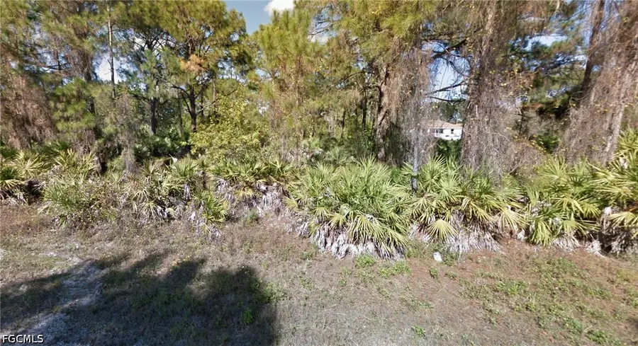 1147 Crocus Street, Lehigh Acres, FL 33974 - #3