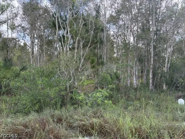 721 Bluebird Avenue, Lehigh Acres, FL 33974 - #1