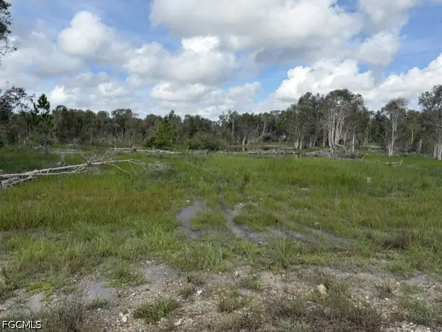 721 Bluebird Avenue, Lehigh Acres, FL 33974 - #2