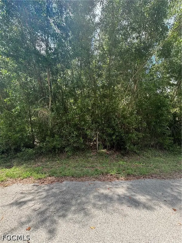 411 Grant Avenue, Lehigh Acres, FL 33972