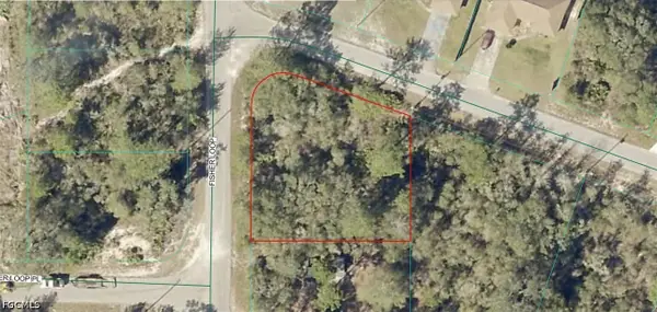 9035-1003-10 SW Fisher Loop, Ocklawaha, FL 32179