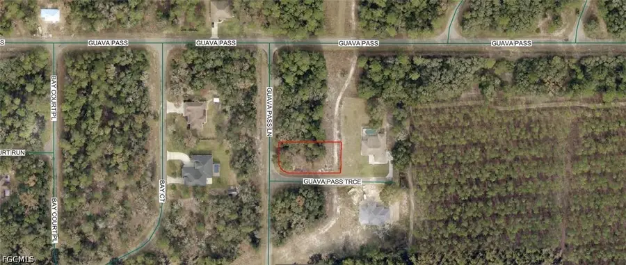 9038-1246-33 Guava Pass Terrace, Ocklawaha, FL 32179 - #2