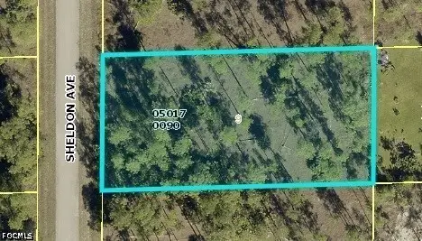 1306 Sheldon Avenue, Lehigh Acres, FL 33972 - #1