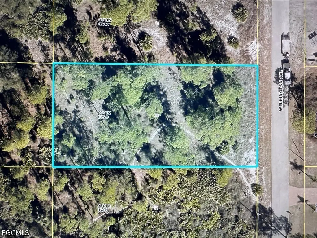 1221 Wellington Avenue, Lehigh Acres, FL 33972 - #1