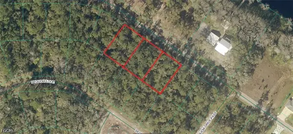 0 Sequoia Drive, Ocklawaha, FL 32179