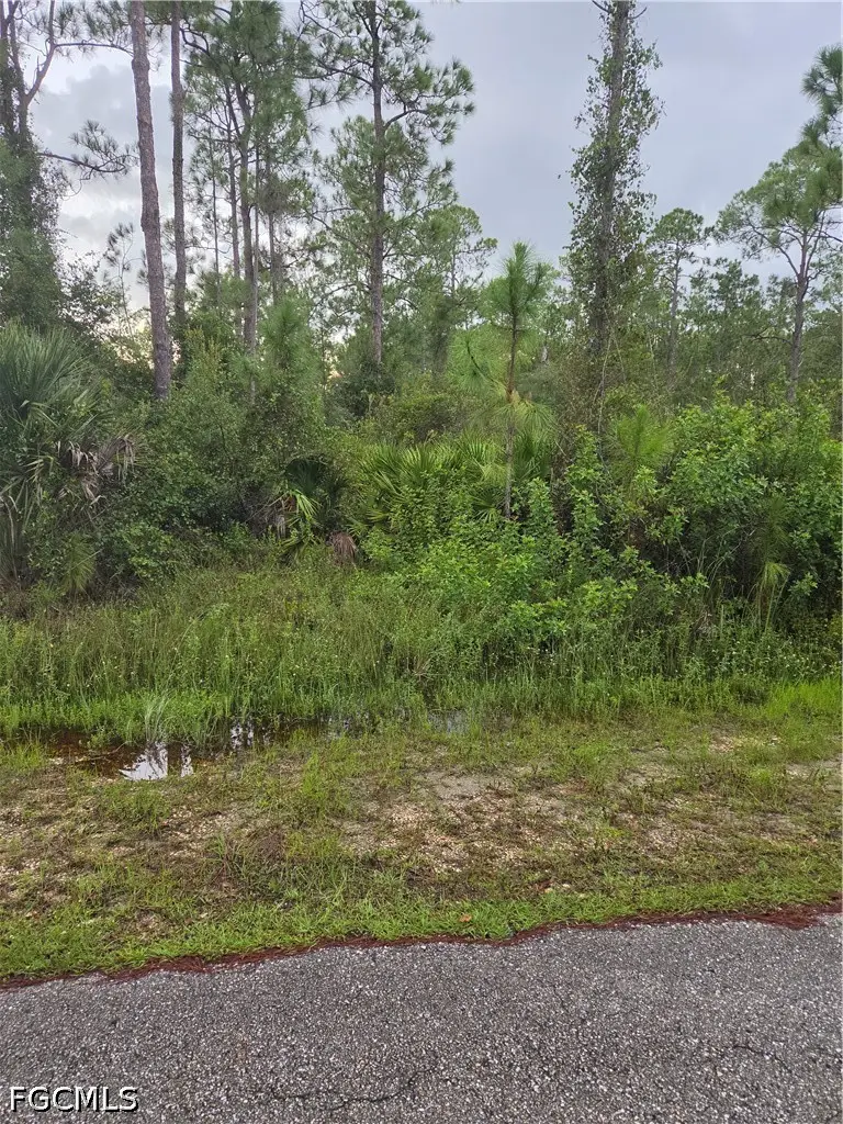 2303 Truman Avenue, Alva, FL 33920 - #1