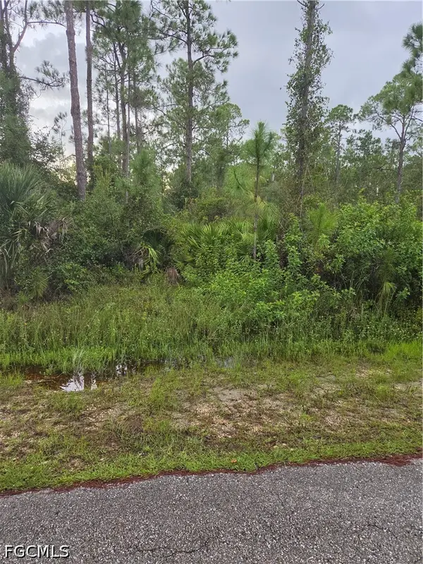 2303 Truman Avenue, Alva, FL 33920