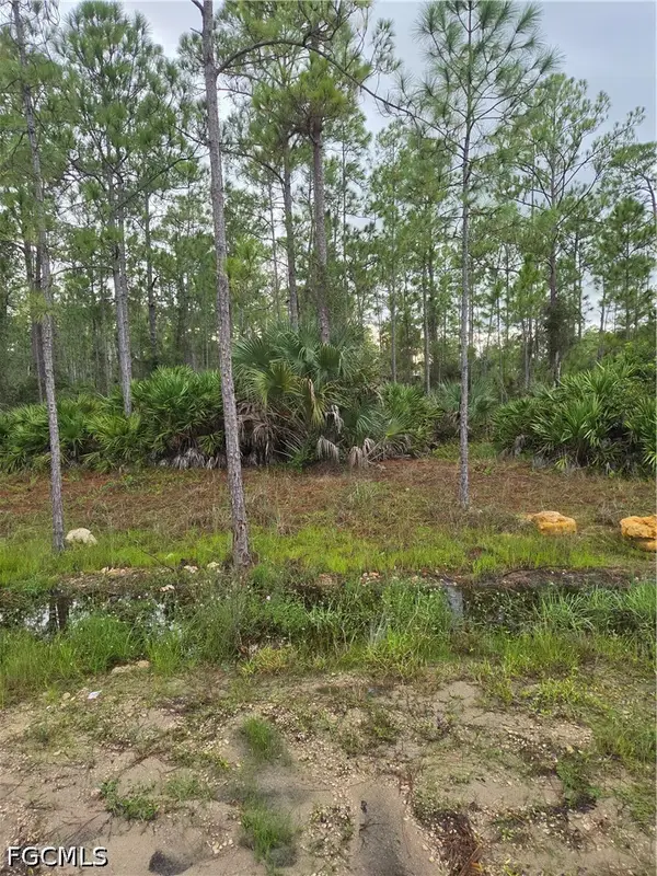 2311 Truman Avenue, Alva, FL 33920
