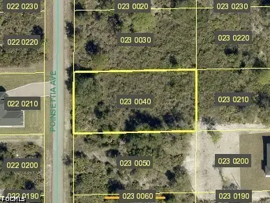 1316 Poinsettia Avenue, Lehigh Acres, FL 33972 - #2