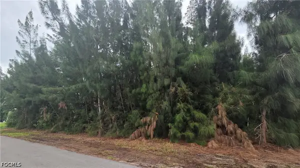 1121 NW 24th Place, Cape Coral, FL 33993