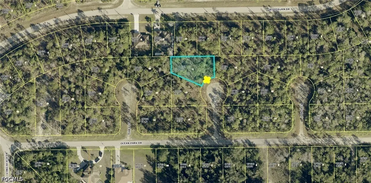 1905 Ney Court, Lehigh Acres, FL 33972 - #1