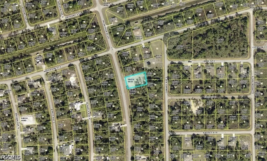 165 Mcarthur Boulevard, Lehigh Acres, FL 33974 - #3