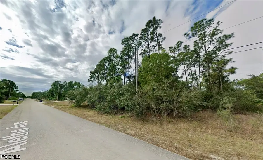 762 Aletha Avenue S, Lehigh Acres, FL 33974 - #3