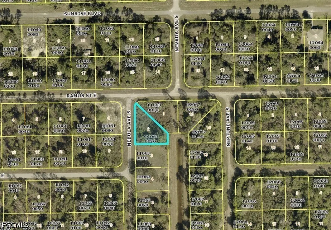 209 Nebula Avenue S, Lehigh Acres, FL 33974 - #1