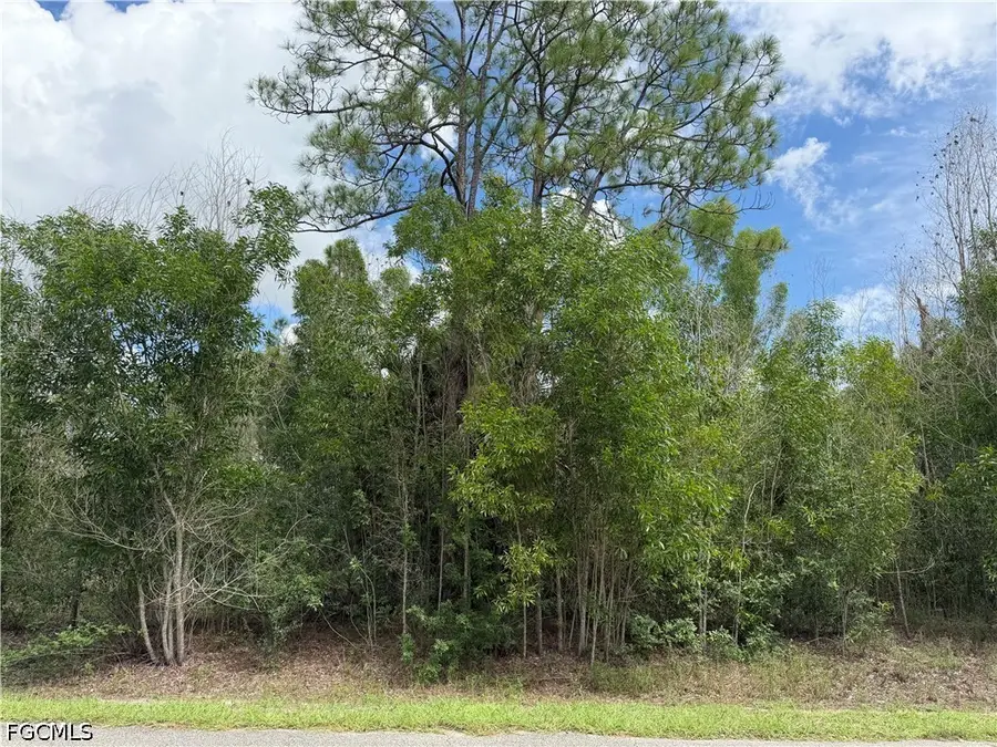 216 Scott Avenue, Lehigh Acres, FL 33936 - #2