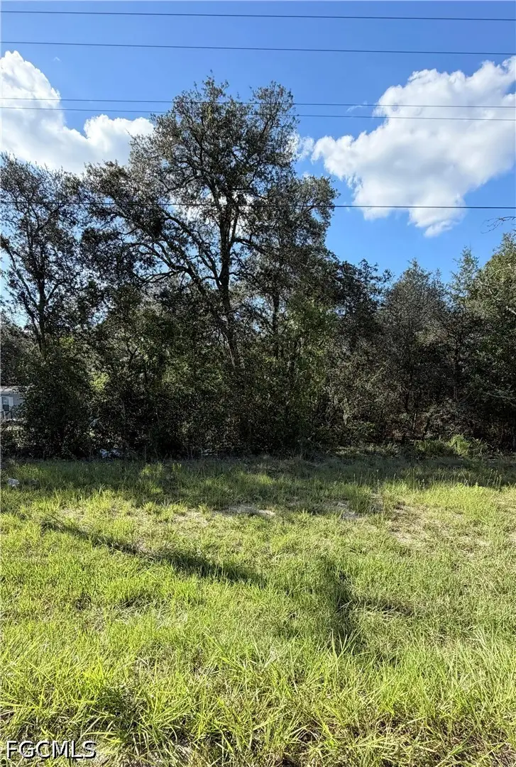 NE 106th Terrace, Raleigh, FL 32621 - #1