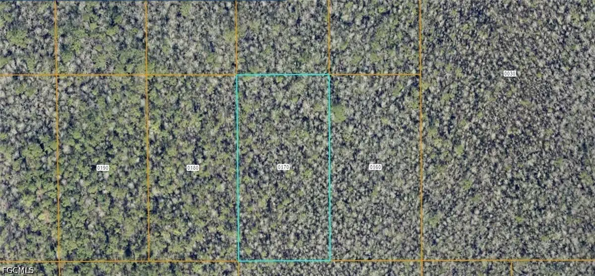 7108-01-03-0170 No Street, Deland, FL 32724 - #1