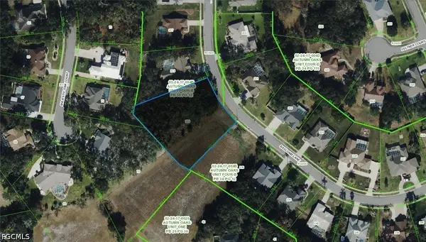 Bascomb Lane, Port Richey, FL 34667