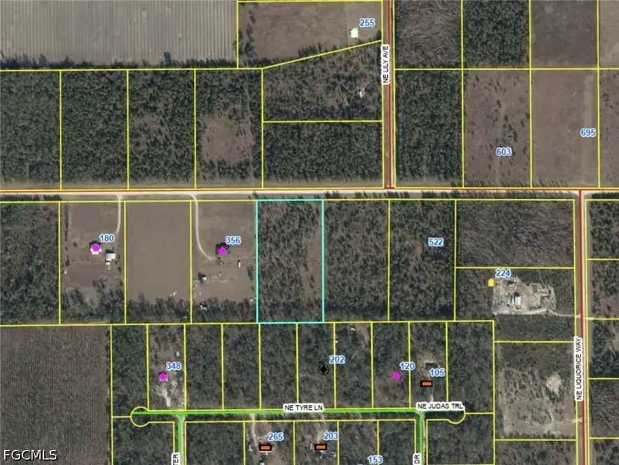 05-1S-11-1502-00B-005 NE River Trace Trail, Lee, FL 32059 - #3