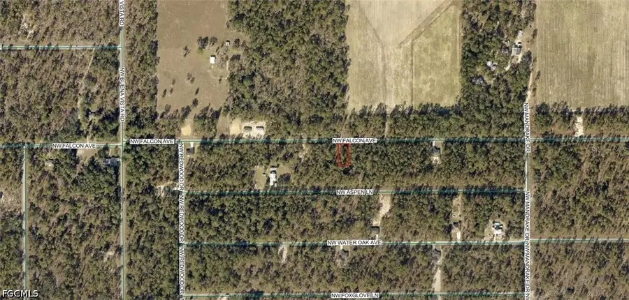 1814-022-016 NW Falcon Avenue, Dunnellon, FL 34431 - #3