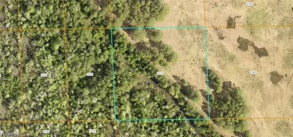 7106-01-04-0010 No Street, Deland, FL 32724