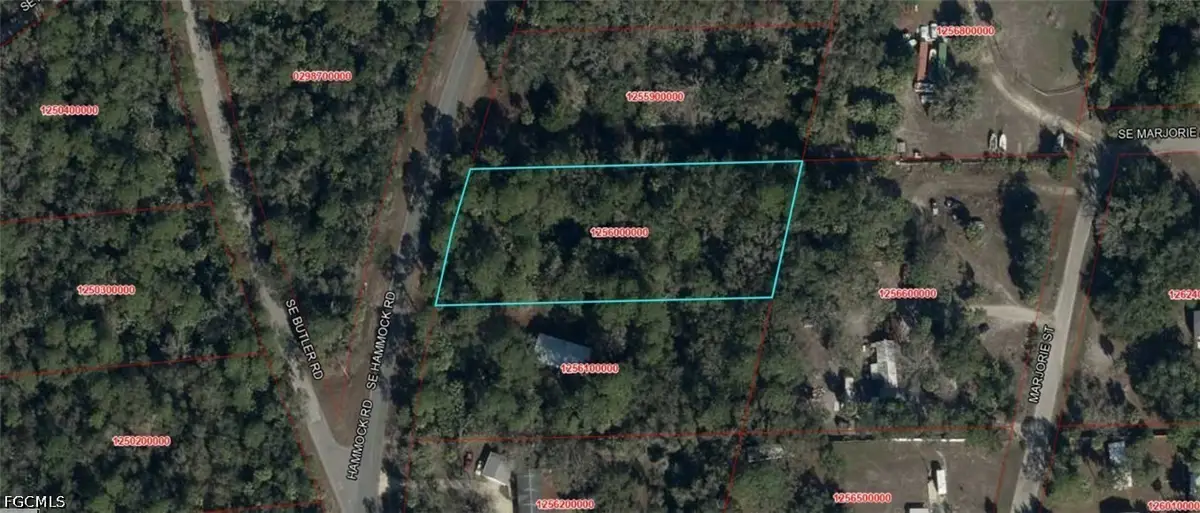 NE 55th Court, Inglis, FL 34449 - #1