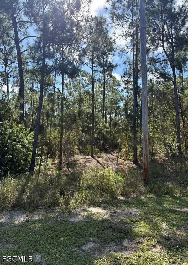 825 Grenada Avenue, Lehigh Acres, FL 33974