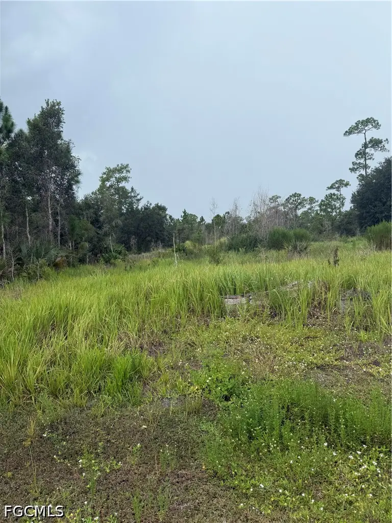 1005 Michael Avenue, Lehigh Acres, FL 33936 - #2