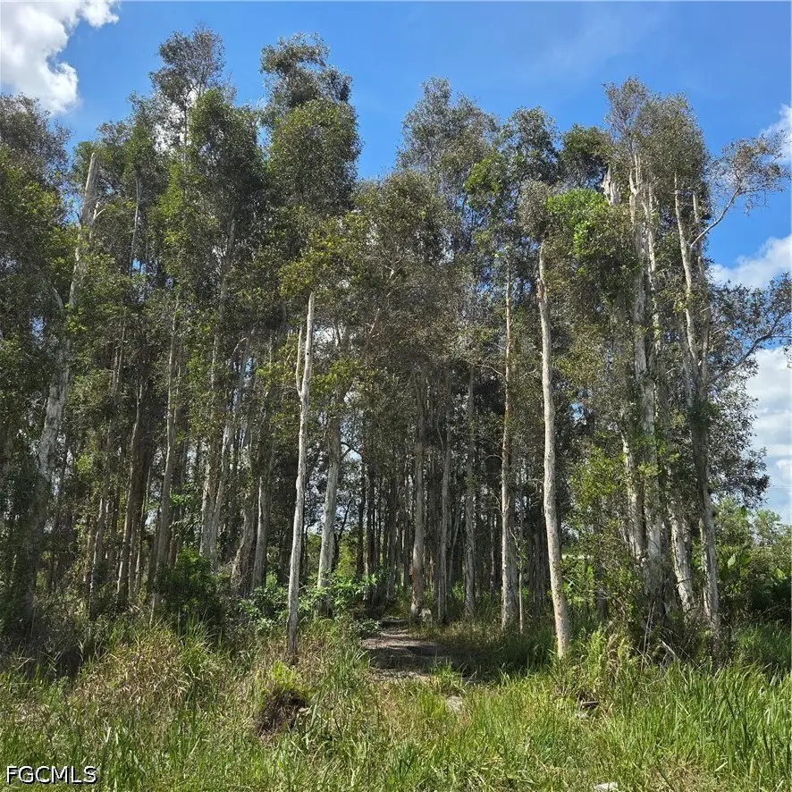 3130 Meadow Road, Lehigh Acres, FL 33974 - #2
