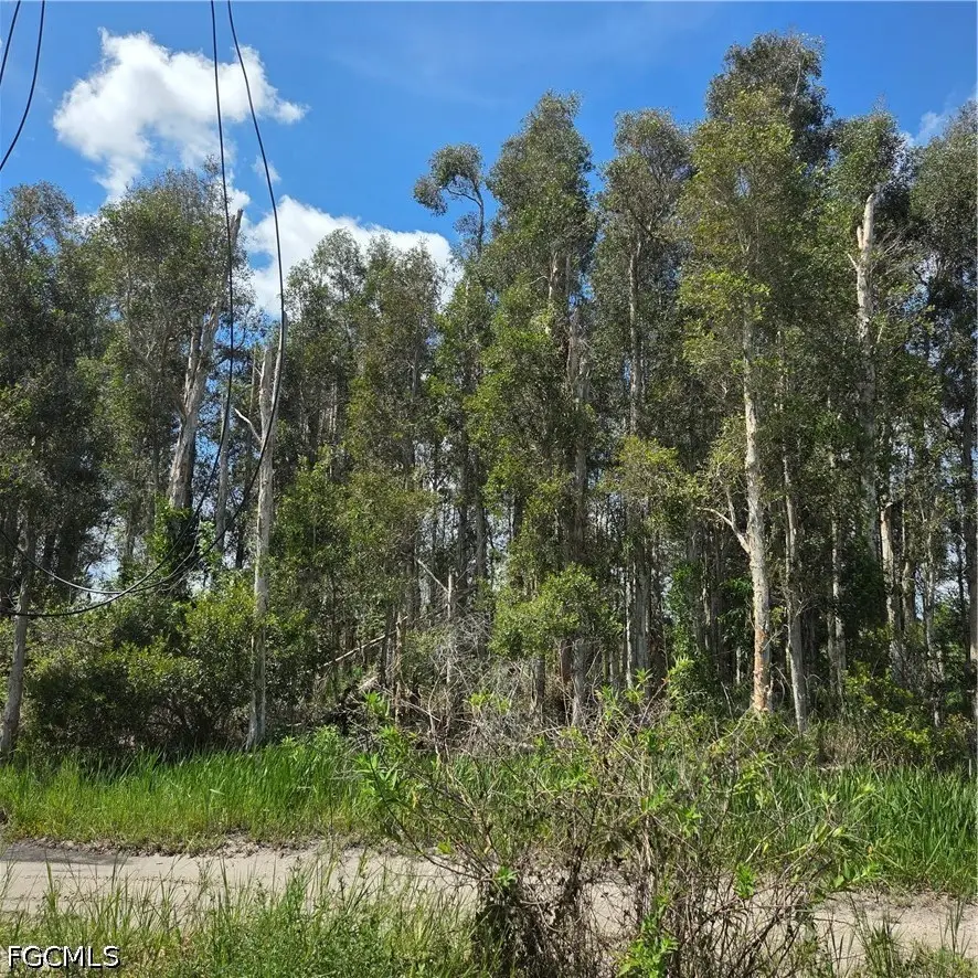 3130 Meadow Road, Lehigh Acres, FL 33974 - #3